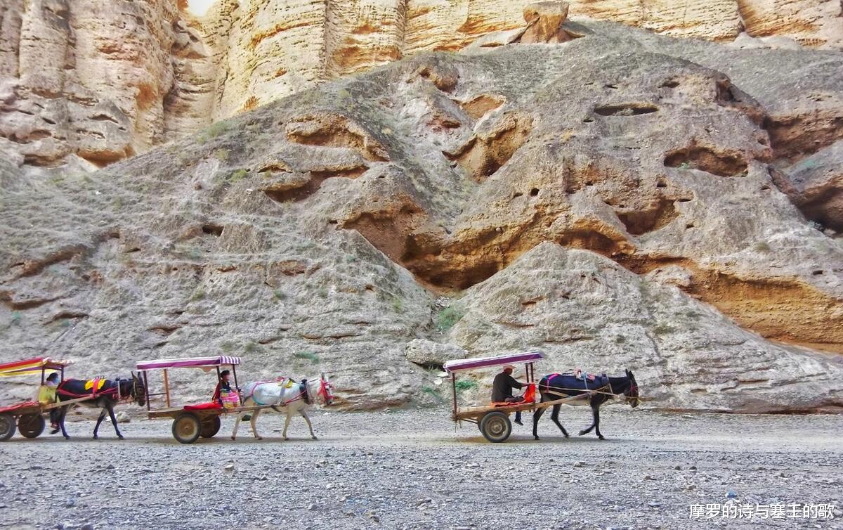 贾浅浅|贾浅浅：《想你》赏析，我用脚趾头想你