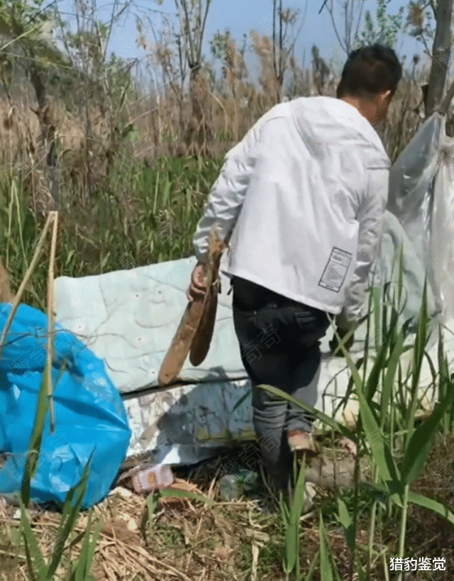 上海市|上海:男子流浪野外,宁肯月光也不上班,“还是个大学生”