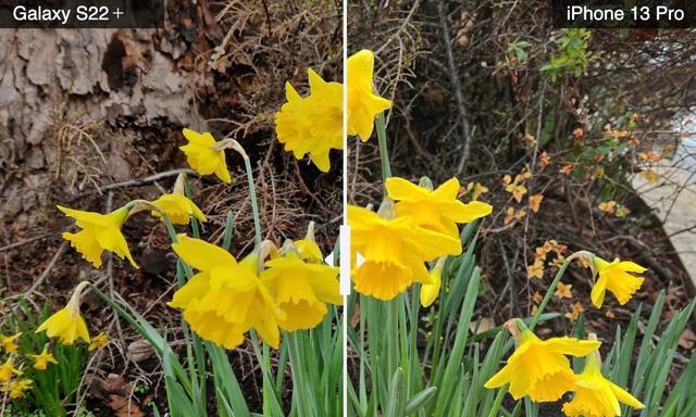 三星|三星GalaxyS22+与iPhone13Pro拍照对比：哪款手机胜出？