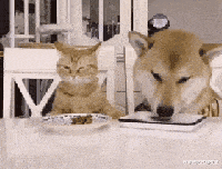 郭德纲|剧本炒作?郭德纲与王梦婷绯闻事件持续发酵,德云社为何集体失声