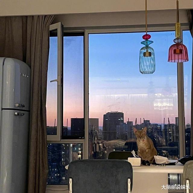 宋妍霏|26岁宋妍霏晒出在上海的家,全屋不豪华却胜过豪华,网友:好羡慕