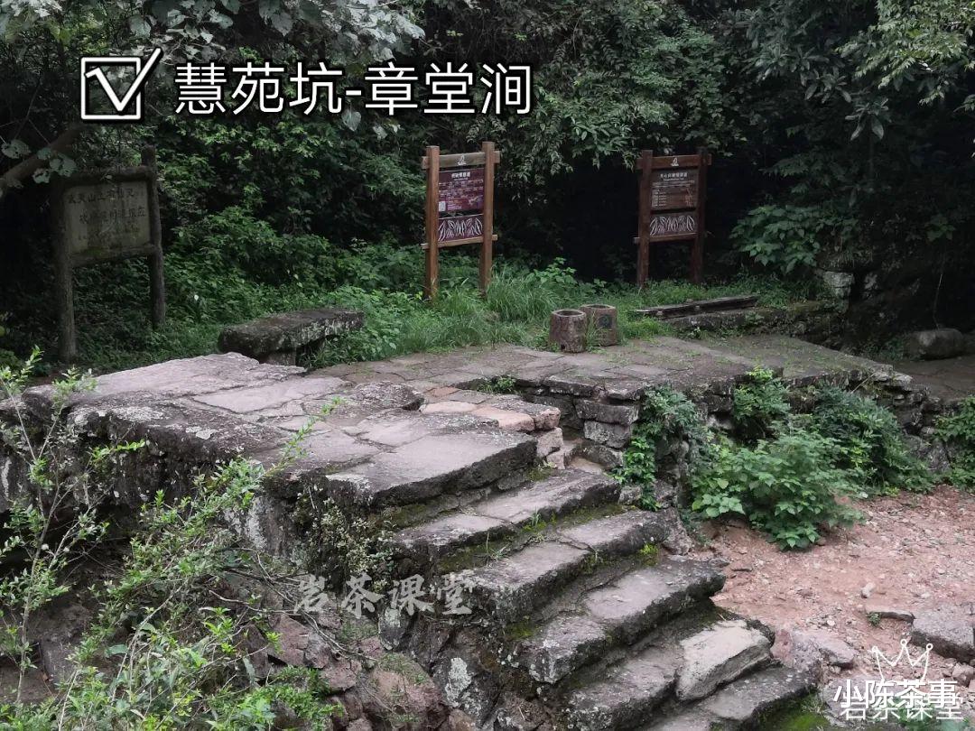 武夷山|章堂涧、古崖居、鹰嘴岩，现场实拍图还原，3分钟带你认识慧苑坑