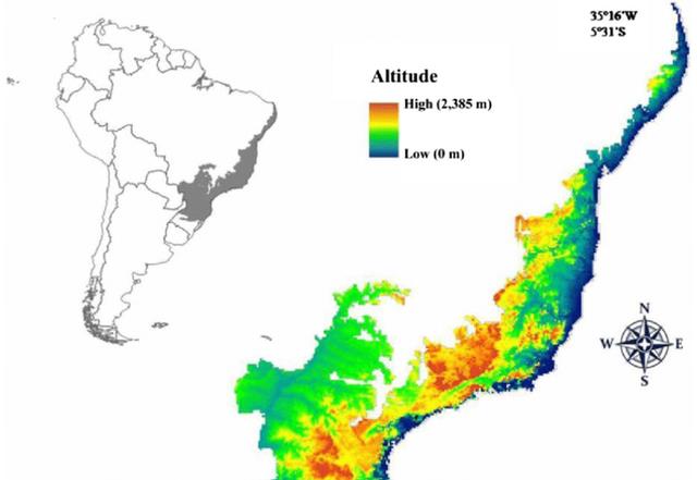 25个保护区,8千个特有物种,大西洋森林的环境为何备受威胁?