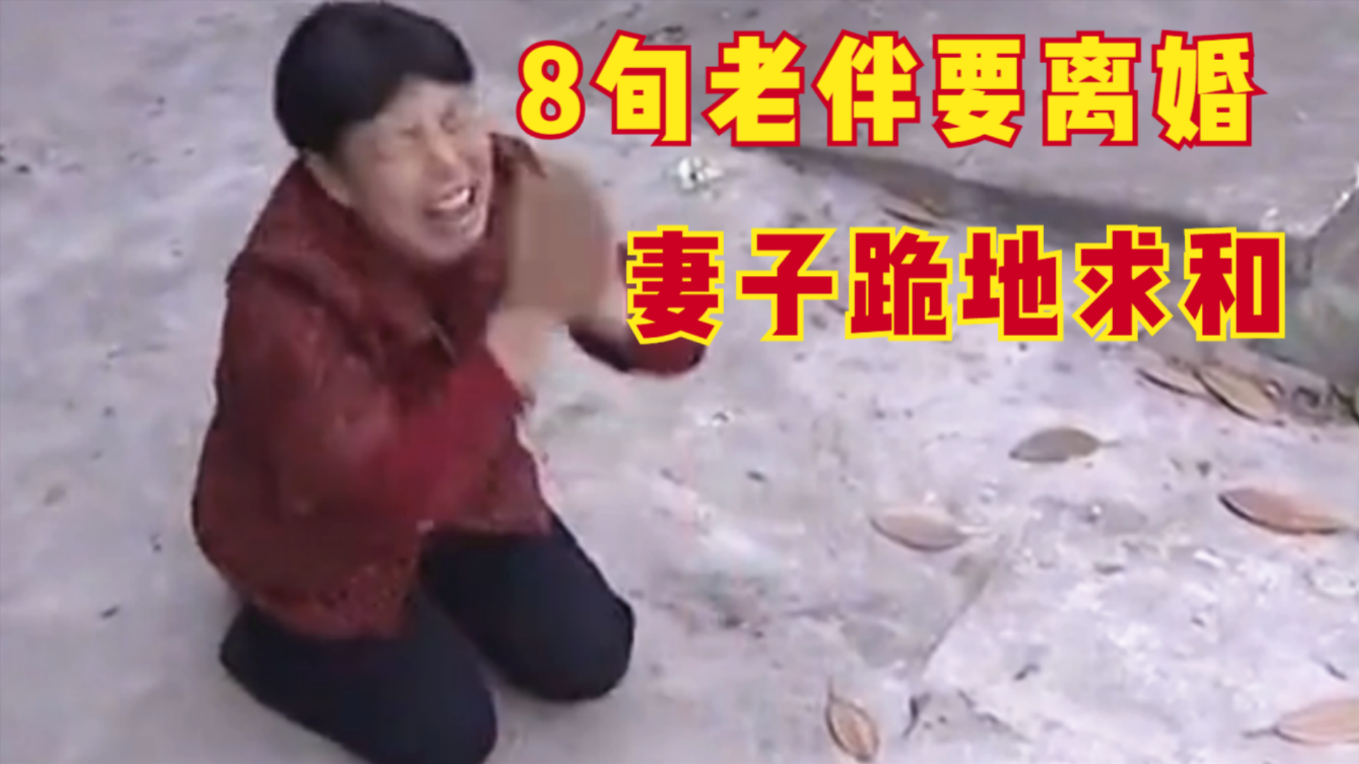 81岁丈夫要离婚,大妈跪地求和好,丈夫:她是个女流氓