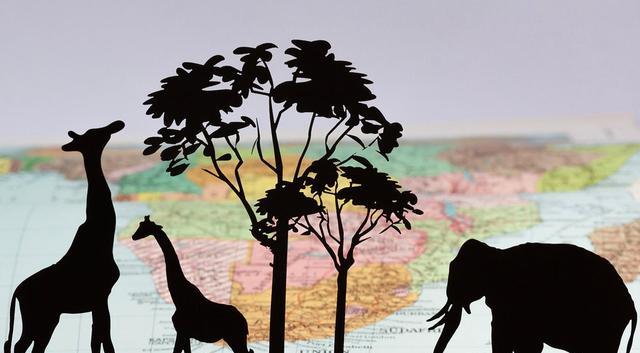 大象的记忆力比人类还好?科学研究发现,象脑神经元比人脑多3倍