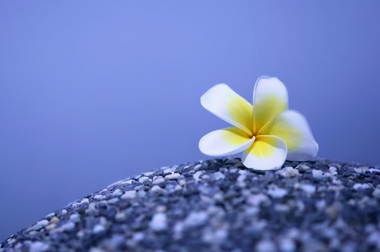 文种|人过五十,做一个有城府的人