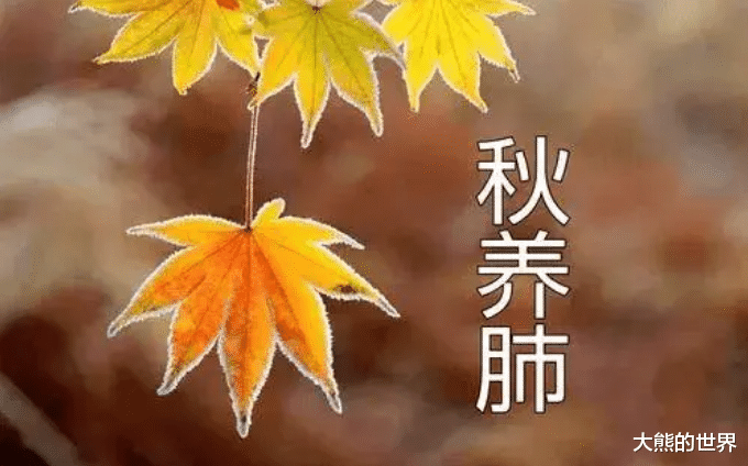 “夏养心，秋养肺”！立秋后，多吃这4样食材，润肺防秋燥少生病