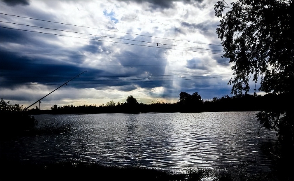 蚊子|这位钓友拔新坟花圈当遮阳伞，惊愕之余深思：钓鱼人的底线在哪？