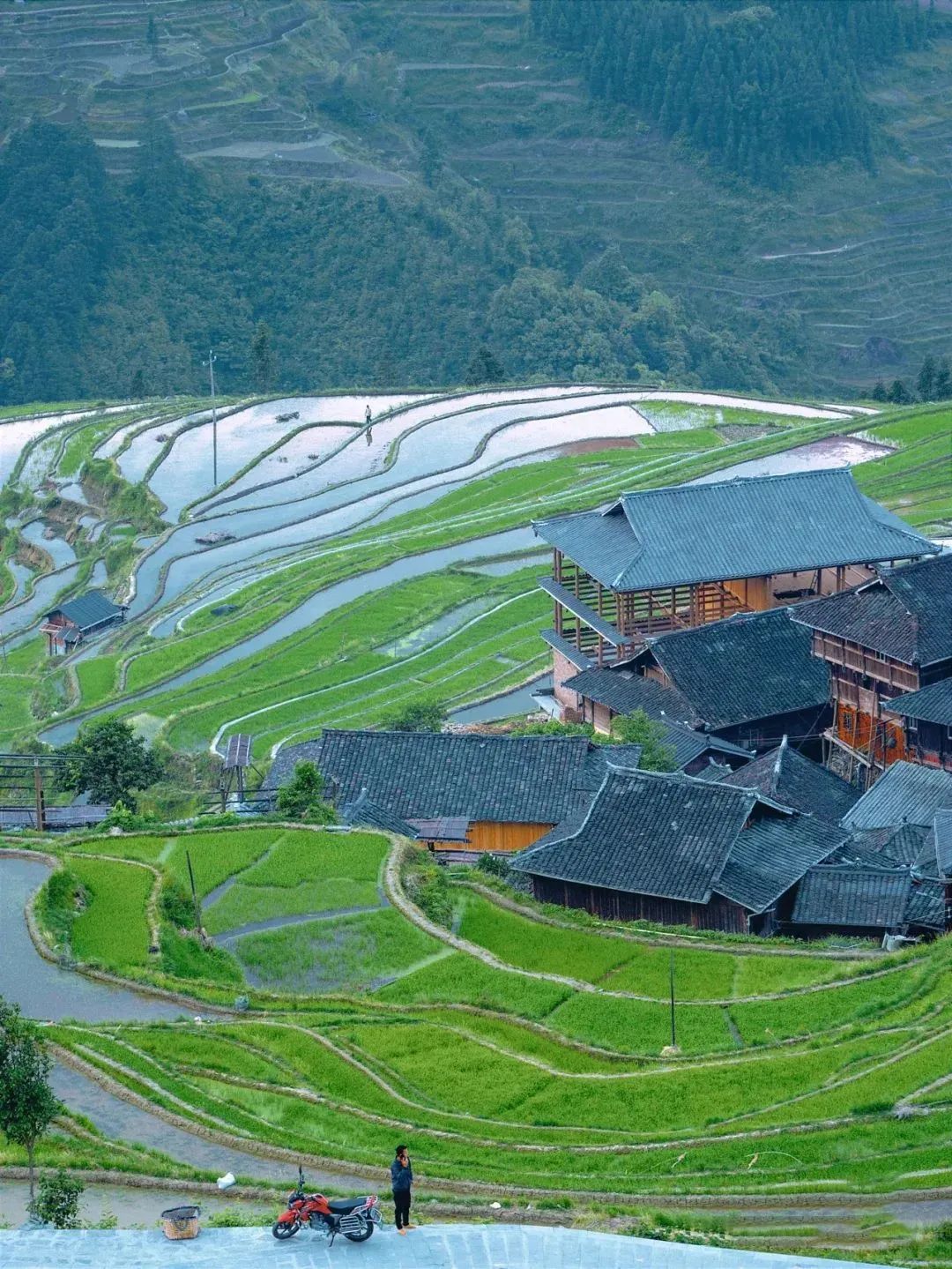 贵州|机票低至¥200,比九寨更惊艳,这座夏日23度的中国凉都,嗜酸又爱辣!