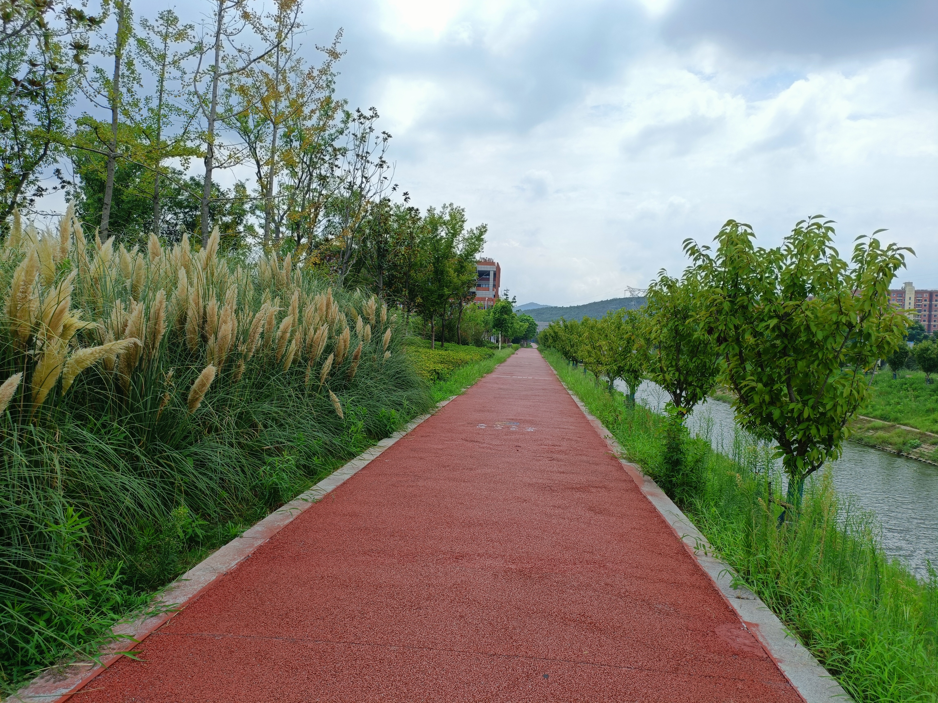 |3万人的乡镇,体育公园风景很美宛如景区,但却没有什么人