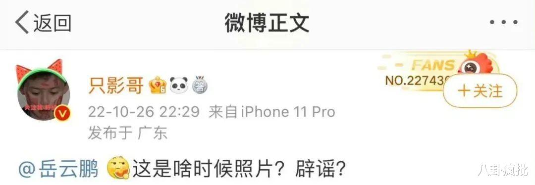 岳云鹏|岳云鹏PC被抓?夏雪偷金币?小眯眼陷害老婆?宋威龙富二代?黄宗泽是渣王?