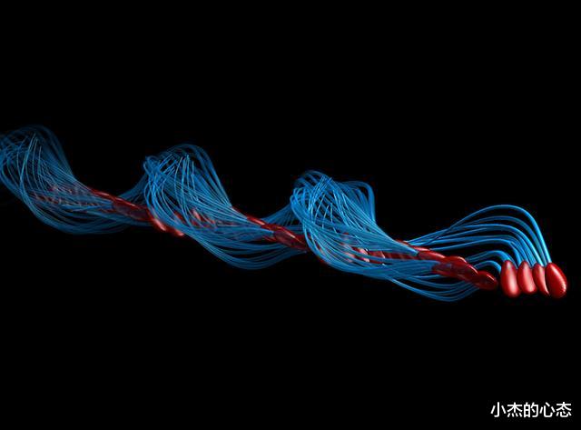 精子“欺骗”科学家343年!新研究:精子不是左右摆动前进
