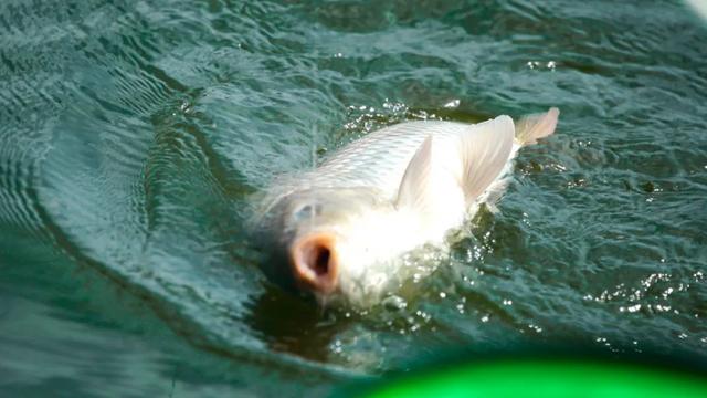 |冬季钓鱼的四个小妙招，老钓手都知道