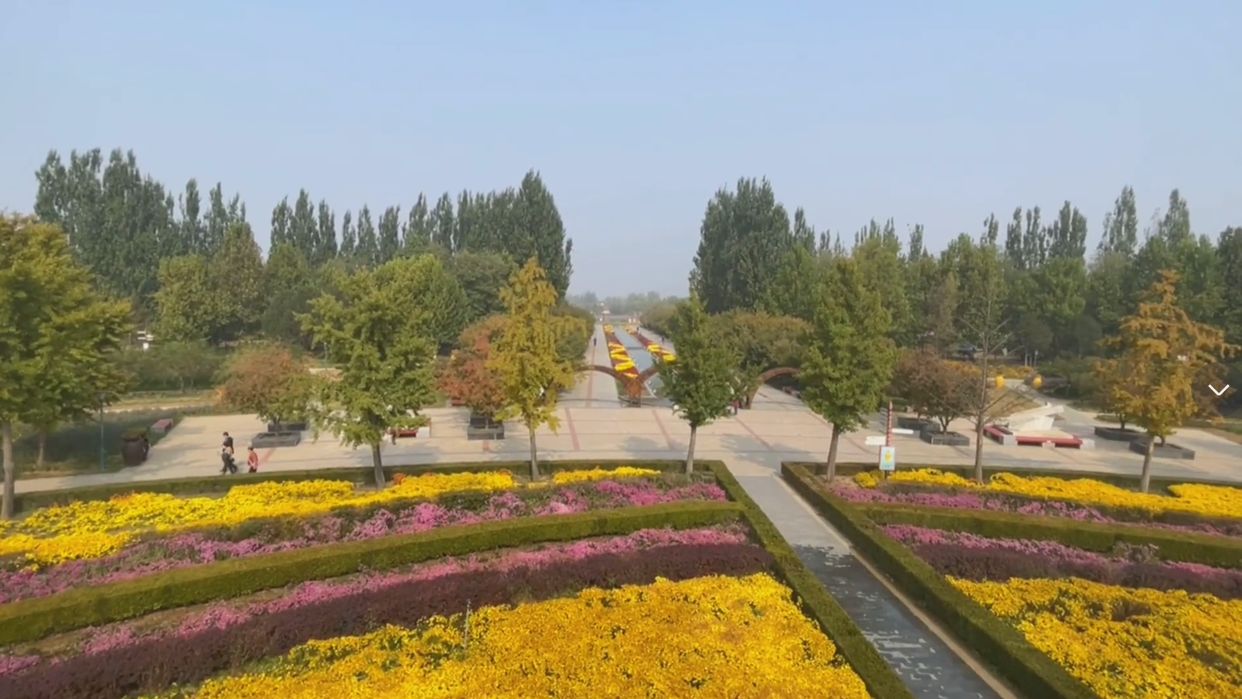 北京市|北京今秋最后花海，鲜花绽放树叶金黄，景色优美游客却少