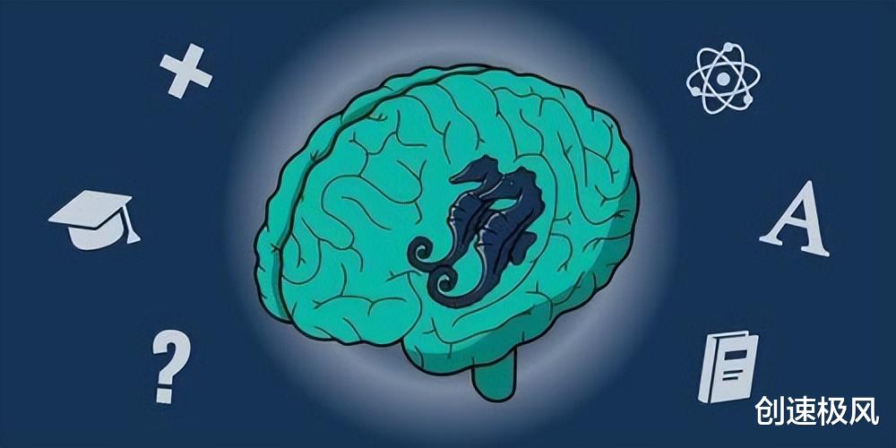 大脑为何要清除三岁之前的记忆?是大脑内存不够?还是其他原因?