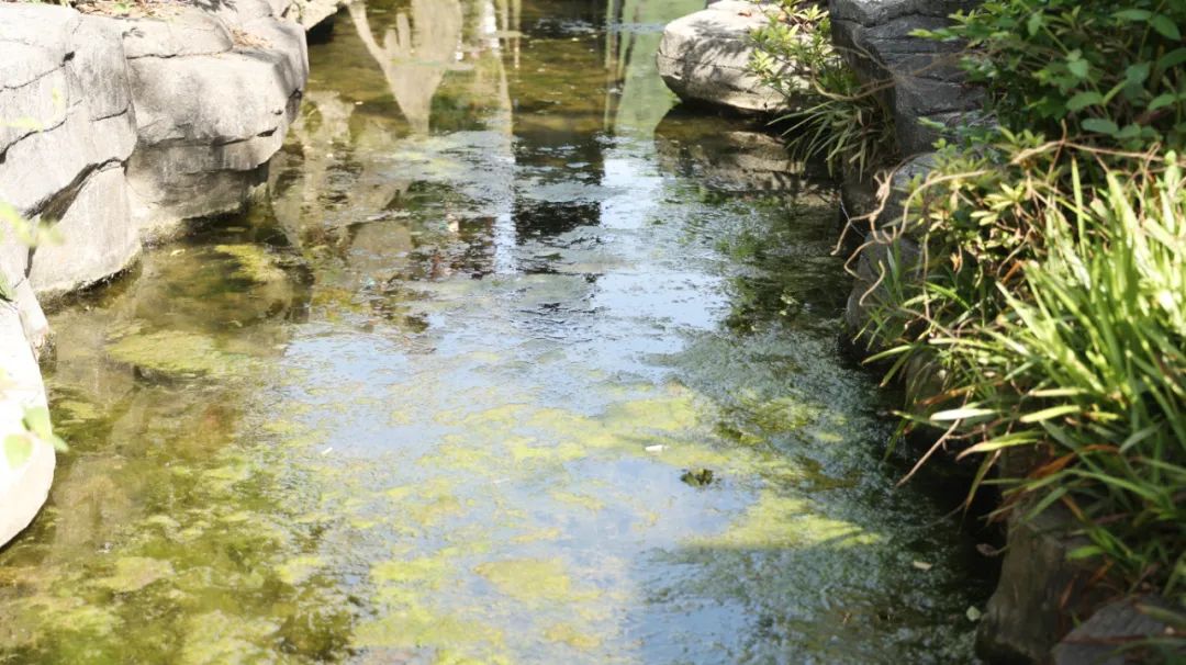 祛湿|身体出现这5种情况,说明体内湿气重,究竟该如何祛湿?你知道吗