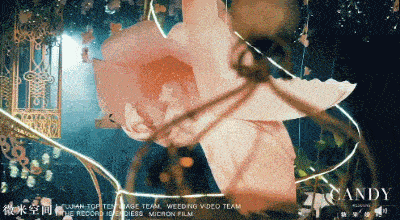 |特步七匹狼家族联姻？两人从发小变夫妇，霸总娇妻故事照进现实？