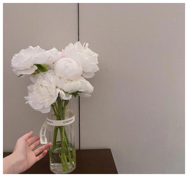 赵露思|赵露思晒成都“豪宅”火了：140㎡超大客厅，精致奢华，令人羡慕