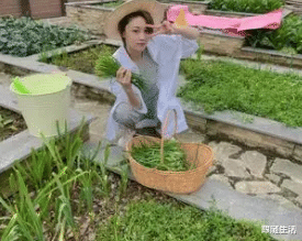 张馨予|张馨予的豪宅火了！农家小院都是花花草草，太羡慕了！