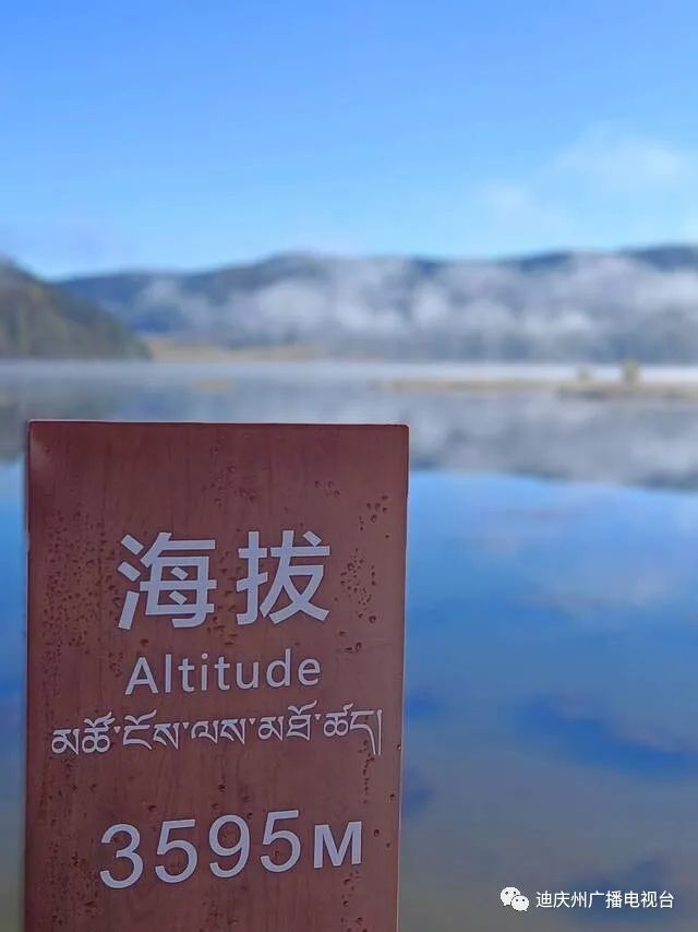 金佛山|美景欣赏,香格里拉深秋普达措上演“冰雪奇缘”