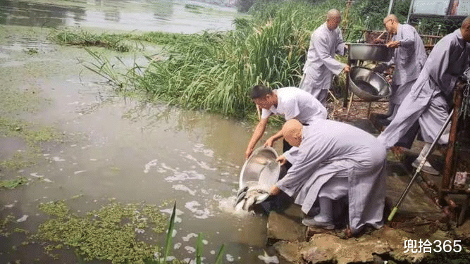 舟山|女子海边捡了条鱼放生，被钓鱼人要求赔偿400元，到底怎么回事？