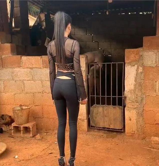 职场故事|舞蹈老师嫌弃出身不好，家里养猪说不出口，被父亲要求给猪跳舞