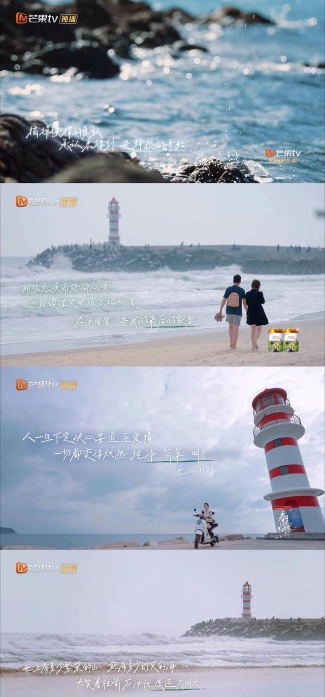 春日迟迟再出发|《春日迟迟再出发》收官,全员be始终是我的意难平,遗憾满满