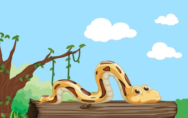 摄像头|一楼带院子的房子好不好?