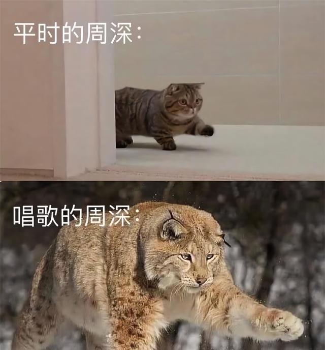 周深|“外交官中国文化之夜”为什么会给周深如此高的评价？