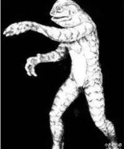 盘点世界那些神秘的不明生物：神秘的海底人、火柴人……
