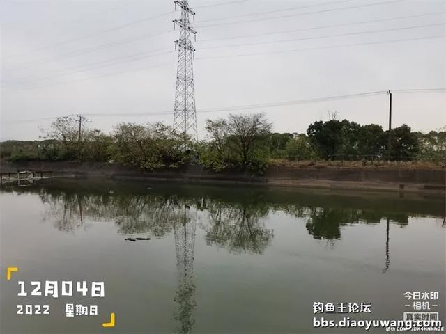 饵料|本味绝杀三,看我狂拉板鲫和大鲤