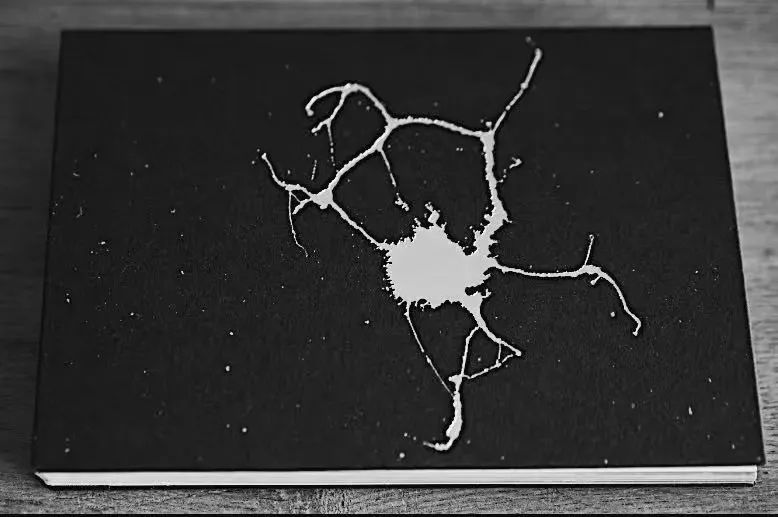 摄影的书不应该被摄影所束缚