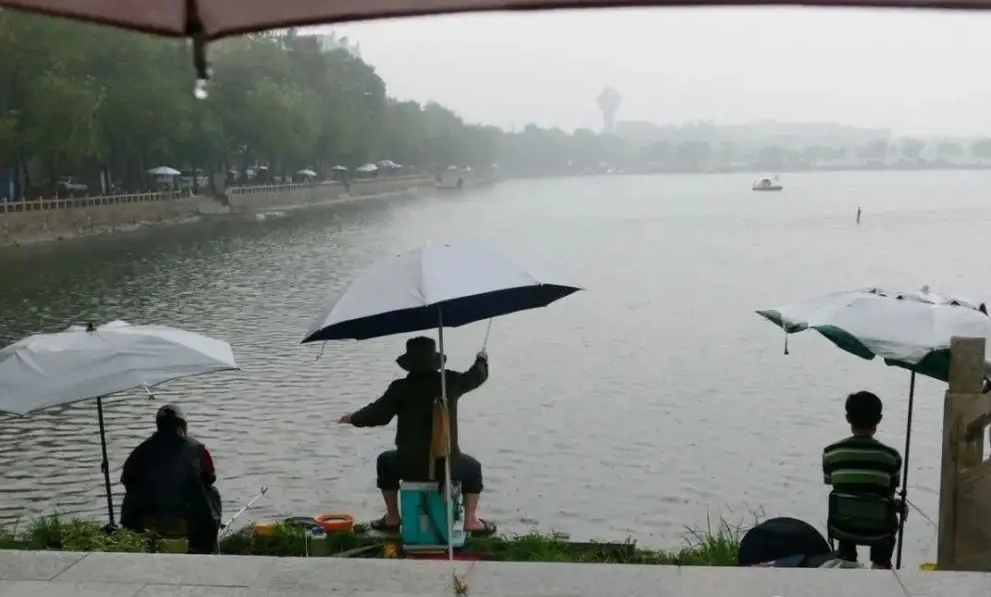 空军|进入七月,如何钓鱼不空军?搞明白这3个问题,连竿上鱼不是难事