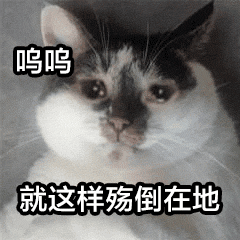 看到钟薛高要卖3.5元的「钟薛不高」,我蚌埠住了