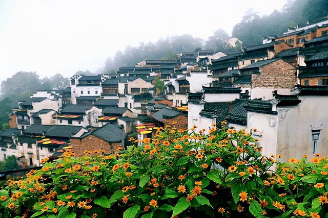 江西|位于江西上饶的村庄，距今已有500多年历史，每到秋季风景美如画