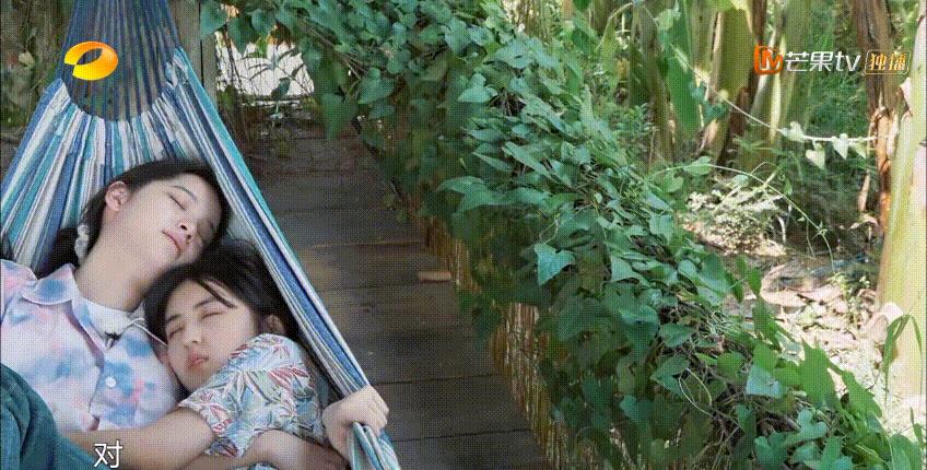 张子枫|张子枫恋情爆上热搜!网友:怎么不是吴磊