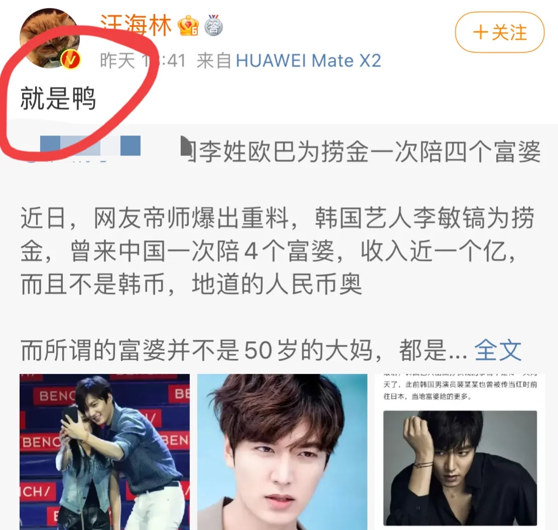 李敏镐|李敏镐摊上事了 被曝来内地捞金一次陪4个富婆 编剧汪海林：就是鸭