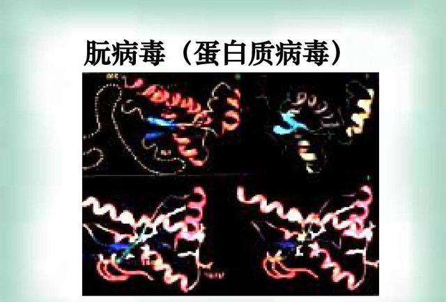 阮病毒对人类无用?只因20号染色上铭刻着祖先用生命构建的防线!