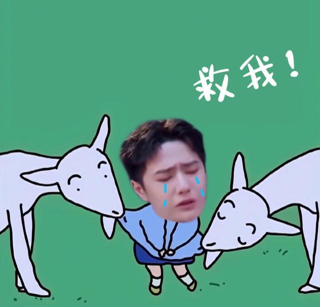 窈窕淑女|有完没完，这种热搜能不能少带王一博，请你独自美丽！