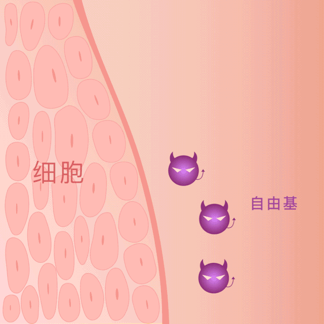 护肤品 小心点!你的护肤品存在烂脸黑名单上了吗?
