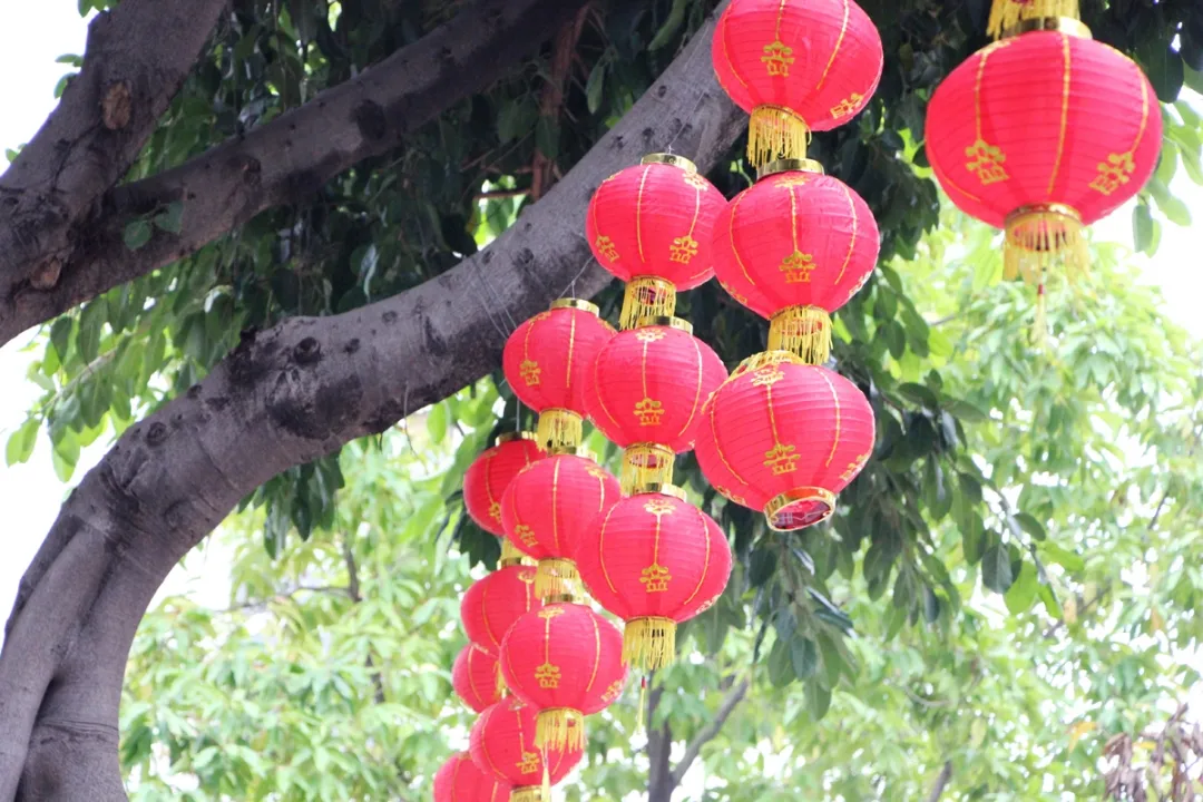 新年家居能量调整 虎年旺运旺财