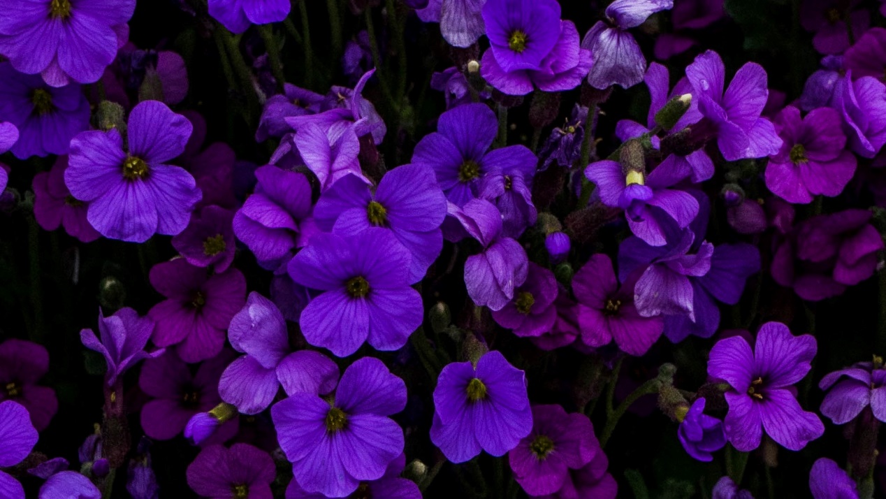 金牛座|今后2周,四大星座三大生肖真情回暖,职场上遇贵人点拨,发财机会增加