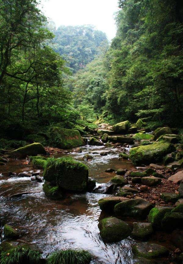 天门山索道|贵州一处被忽略掉的美景，有世界级大桥横跨而过，有五大奇观