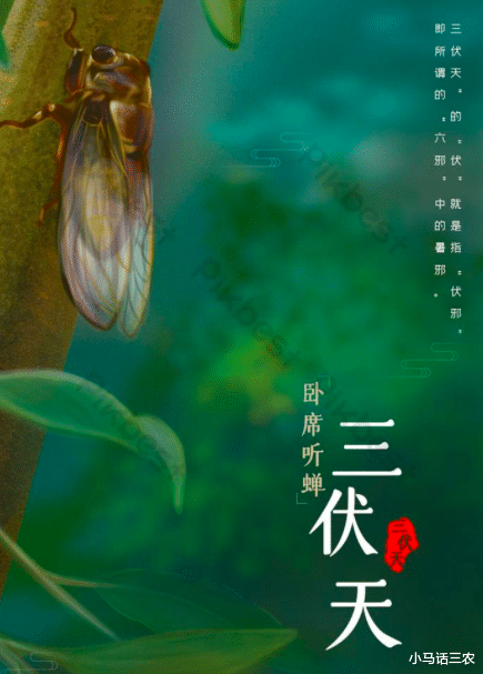 夏至将至,40天超长三伏天即将来袭,今年啥时候入伏?快来看看!