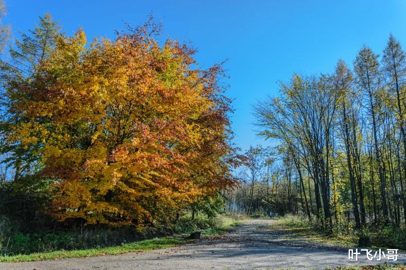 生肖|3个生肖福气足,财运旺,人生不平凡!