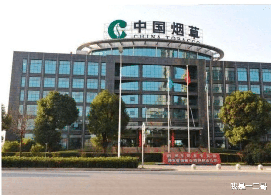 招聘|“中国烟草”的待遇有多好?六险二金正式编制,年薪超过6位数