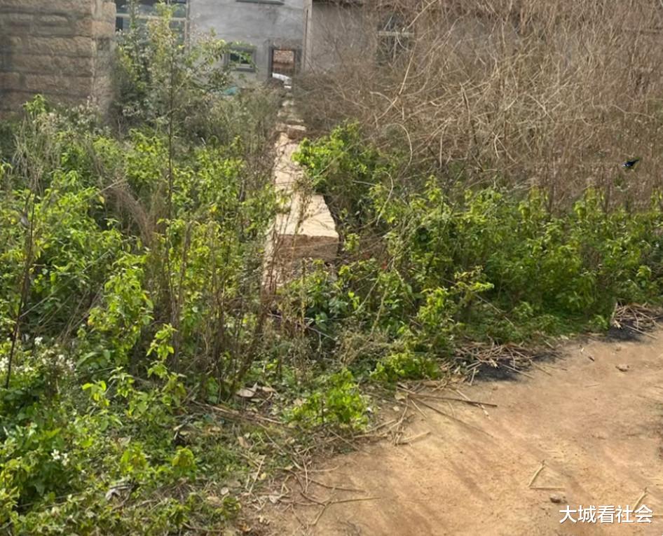 福建一男子家老人去世后,邻居偷建围墙占地,还要求他再让1.5米