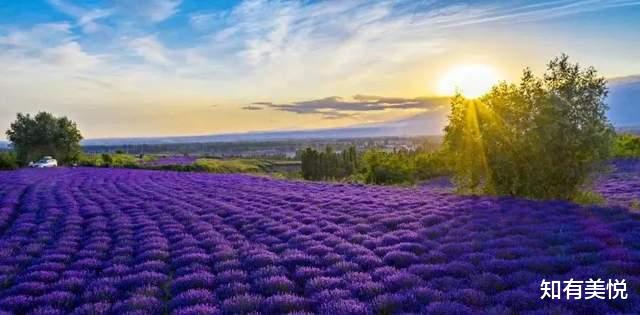 留神|端午好去处!来这14个被上帝偏爱的地方,邂逅一场完美的初夏之旅