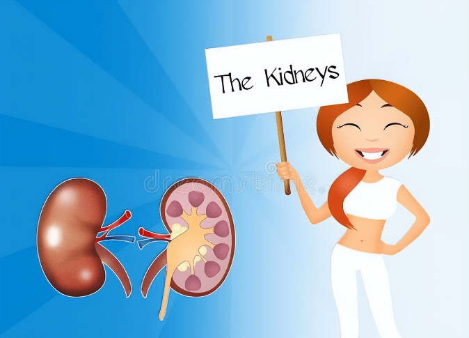 养生|肌酐升高后，不想遭遇尿毒症，这些误区千万别碰