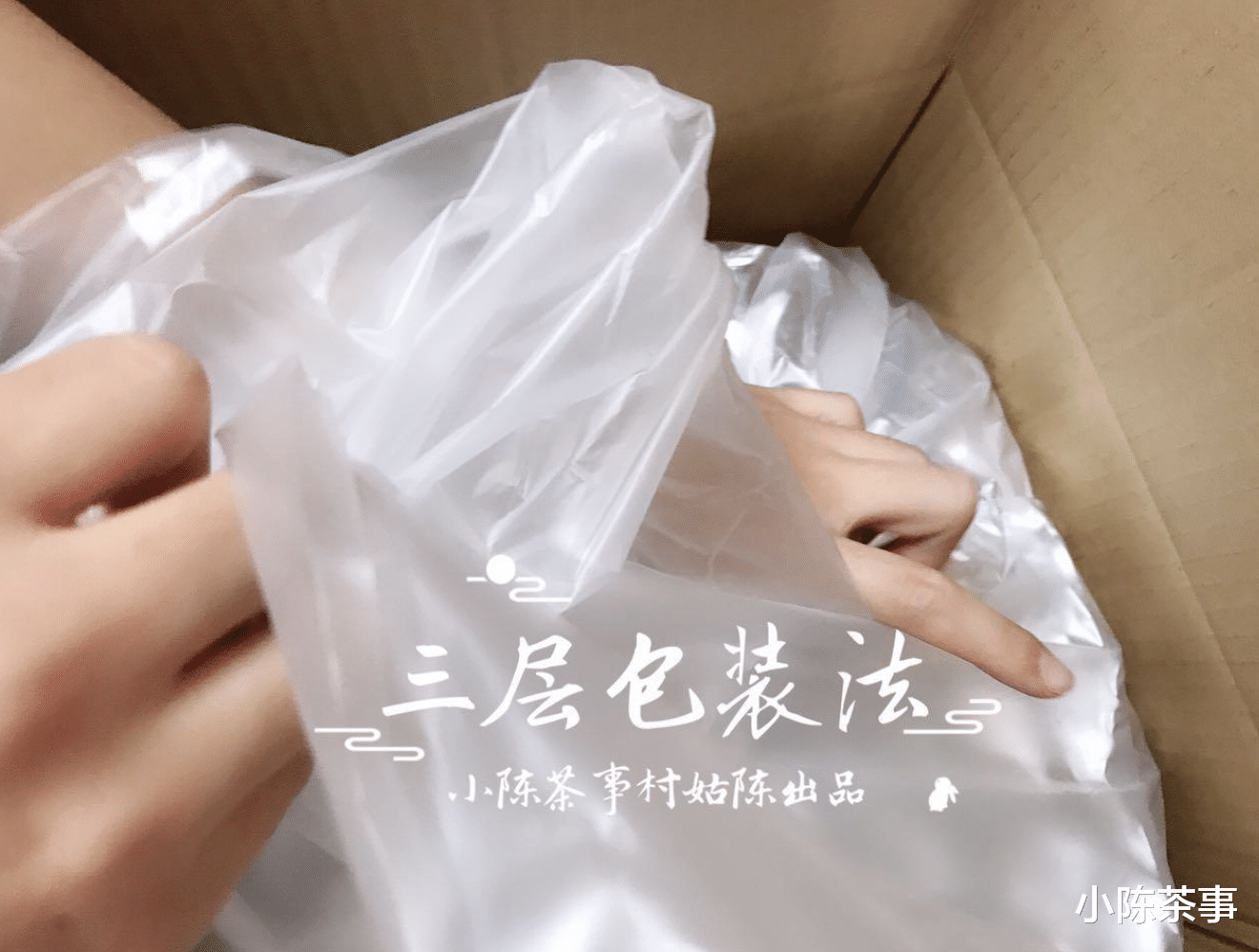 茶叶|教你3种存白毫银针的方法,花zui少的钱,未来喝zui贵的老白茶